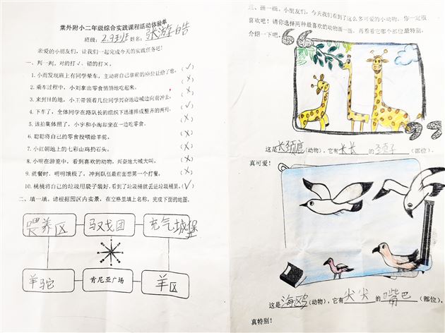 春天的仪式感,就是上一堂生动的自然课——记棠外附小一二年级综合实践课程