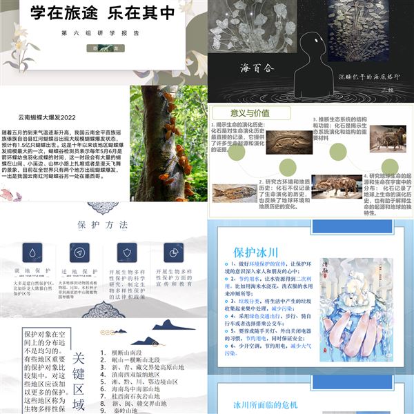 学生研学分享