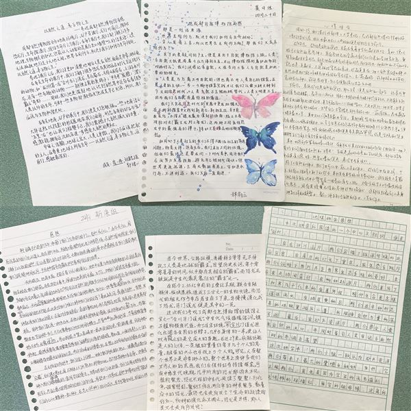 学生研学感想.