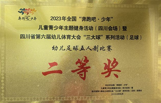 点赞!棠湖仁智幼儿园足球小将荣获多个省级运动奖项