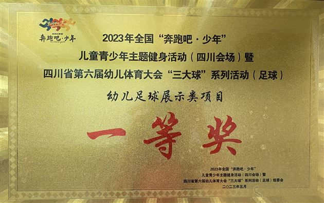点赞!棠湖仁智幼儿园足球小将荣获多个省级运动奖项
