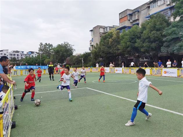 号外!号外!棠湖仁智幼儿园又双叒叕在市级比赛中取得佳绩