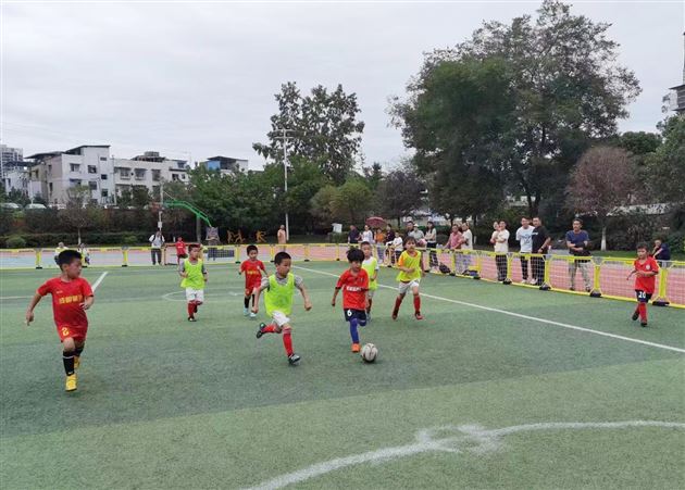 号外!号外!棠湖仁智幼儿园又双叒叕在市级比赛中取得佳绩