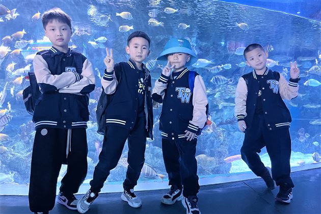 畅游海洋馆 探秘海世界——记棠外附小一、二年级秋季研学活动