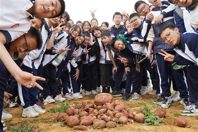 空港花田不为玩,种豆挖薯粘丝扇——记棠外初2022级学生劳动实践
