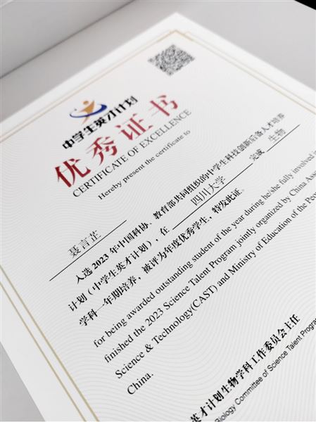 优秀证书