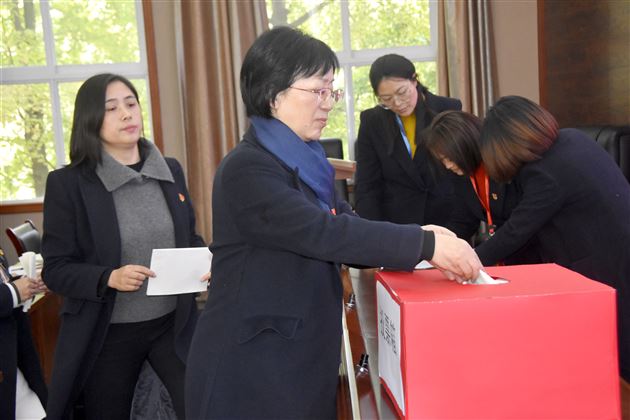 小学党总支换届选举