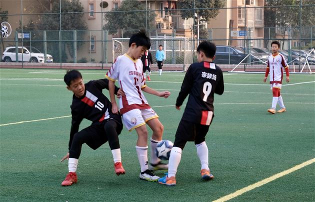 以球会友,2024年“川豫”青少年U11交流赛圆满收官