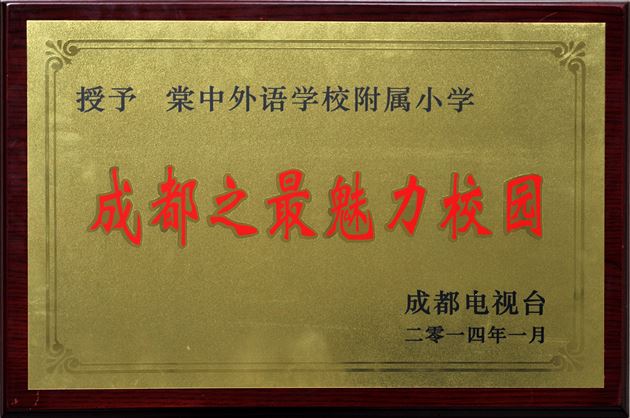三尺讲台“她力量” 教育舞台获荣光