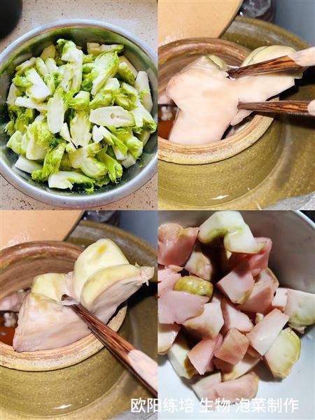 制作泡菜(高二4班欧阳练培)