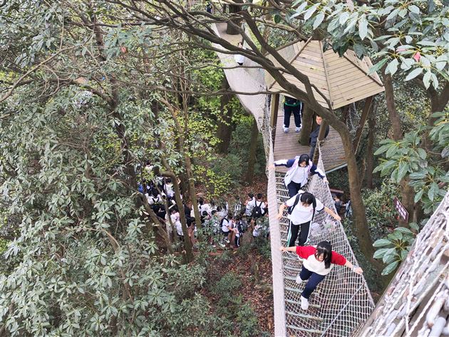 茶叶亲手采 茶香沁我心——棠外初2022级师生赴蒙顶山开展春季研学活动与综合实践课程