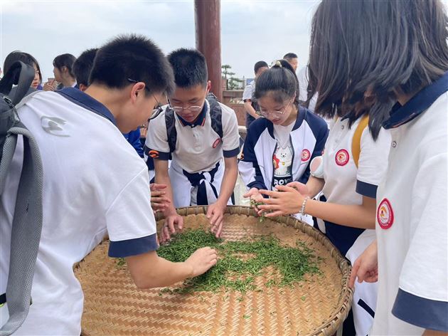 茶叶亲手采 茶香沁我心——棠外初2022级师生赴蒙顶山开展春季研学活动与综合实践课程
