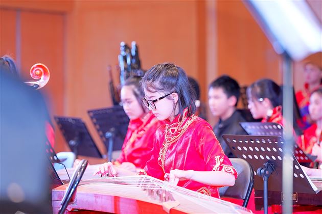 弦歌永续,再奏华章——棠外飞鹰艺术团民乐团获成都市双流区中小学生艺术节中学组一等奖