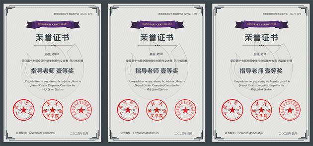 指导教师一等奖