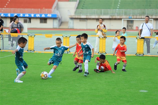 棠湖仁智幼儿园足球队再获省比赛冠军