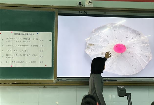 塑细胞之形,展微观之美——棠外初2024级生物细胞模型制作大赛圆满成功