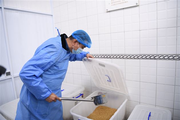 健康相伴,眼见为“食”——棠外膳食管理学生委员会深入学校餐厅参观