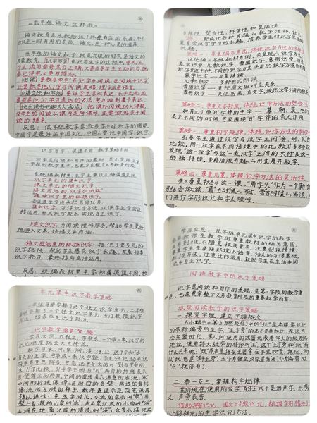 阅读启航 点亮智慧——棠外附小语文组开展教师阅读活动