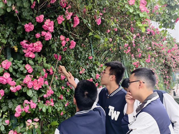 十载蔷薇绽芬芳 生命教育促成长