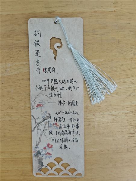 棠外初2024级语文备课组开展《钢铁是怎样炼成的》整本书阅读活动