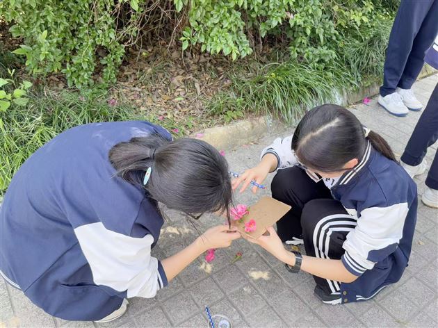 纸板上的美育之光——记棠外高中2025年“5·25我爱我”心理健康节系列活动(六)
