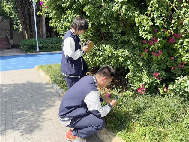 纸板上的美育之光——记棠外高中2025年“5·25我爱我”心理健康节系列活动(六)