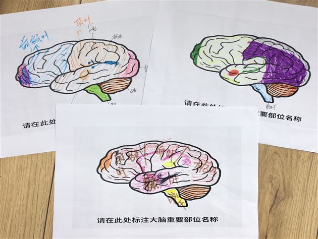 心理委员开讲啦:当大脑遇见情绪——棠外初中2025“525我爱我”心理健康节系列活动(六)