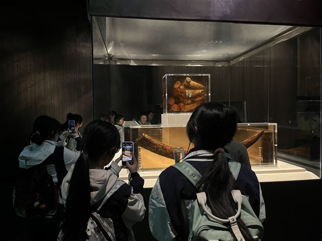 探秘金沙遗址 寻源古蜀神都——记棠外人文考古社高2024级分社考古研学活动