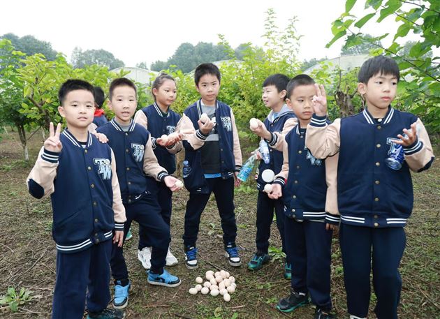 走进秋日庄园 品味劳动之趣——棠外附小二、三年级学生“沉浸式”研学活动