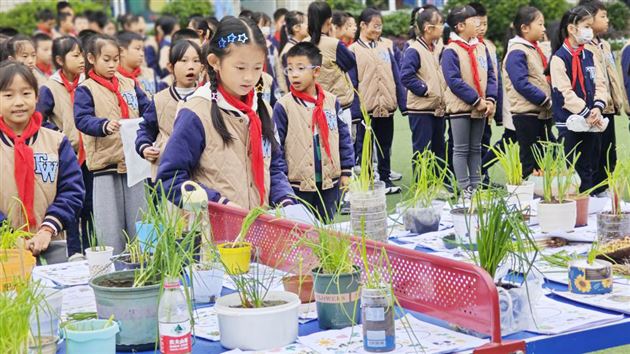 从播种到收获的成长礼赞——棠外附小四年级开展劳动成果展 