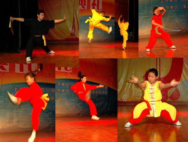 武术表演