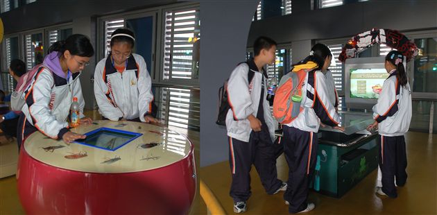 棠中外语学校初2009届学生“走出校园”实践活动(十一)