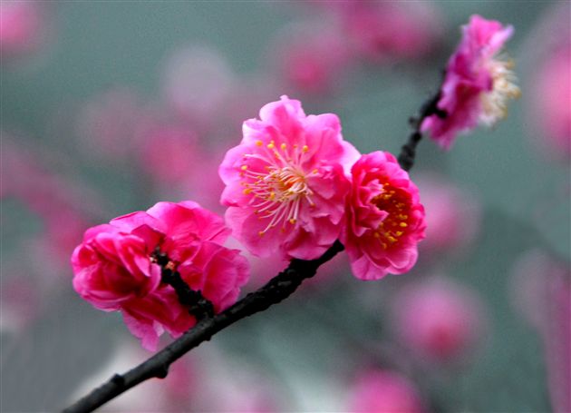 八