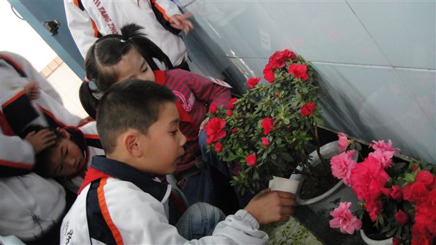 棠外附小植树节活动6