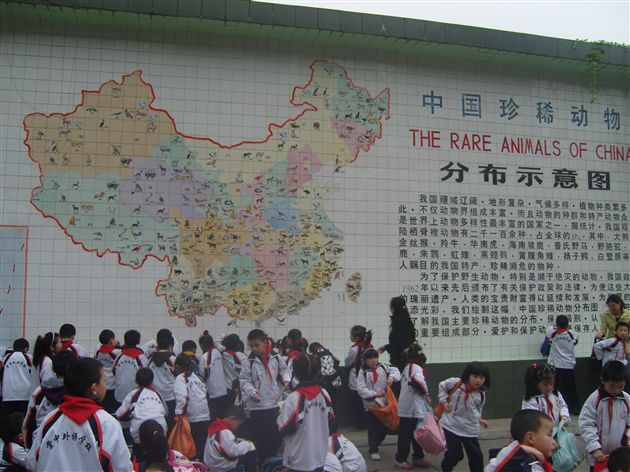 美丽的成都动物园6