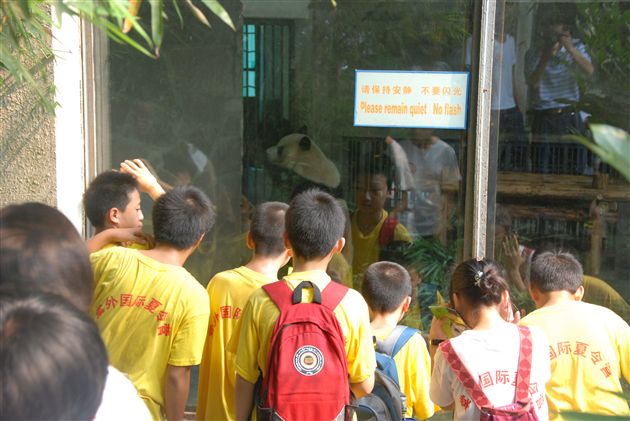 参观熊猫基地2